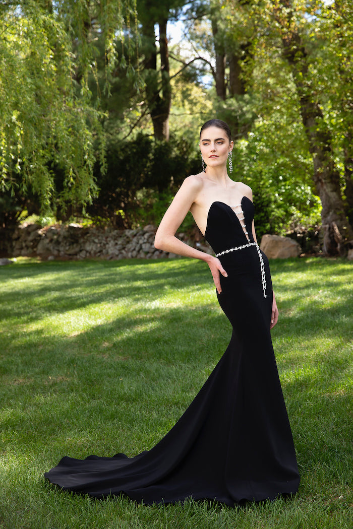Crepe Strapless Deep-V Crystal Embellished Gown