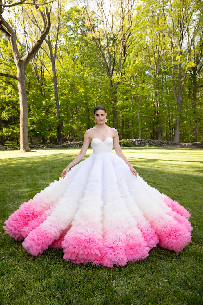 Ombre Embroidered Tulle Poppy Gown | Christian Siriano Ombre Embroidered Tulle Poppy Gown | Christian Siriano